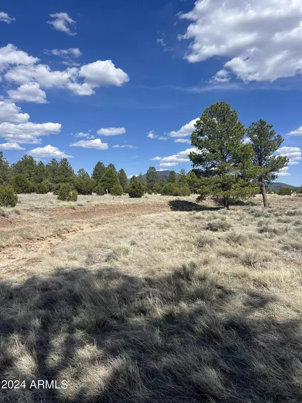 Williams, AZ 86046,5303 N Red Mountain Road #-