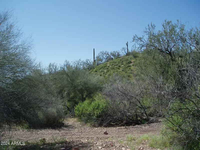 28700 W Joy Ranch Road #-, Unincorporated County, AZ 85361