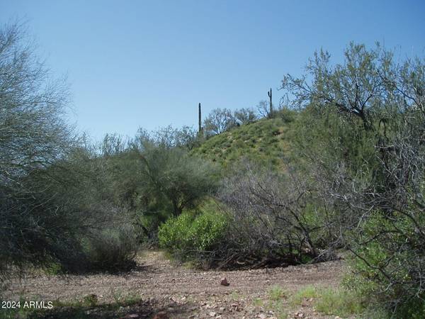 28700 W Joy Ranch Road #-, Unincorporated County, AZ 85361