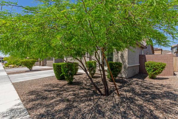 Peoria, AZ 85383,7072 W Jasmine Trail