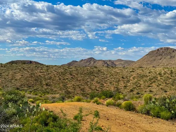 Kingman, AZ 86401,Round Turn Dr 169 Acres -- #-