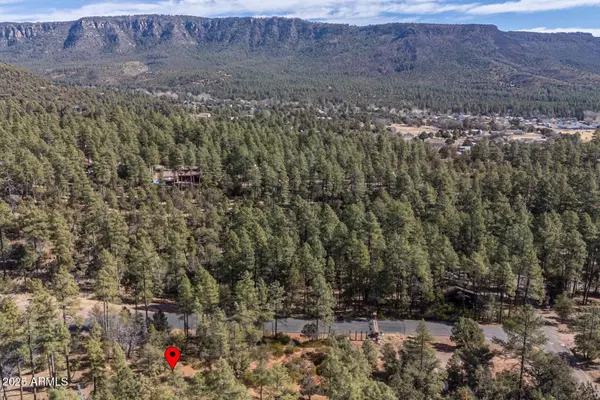 Pine, AZ 85544,19 Strawberry Hollow Drive #19