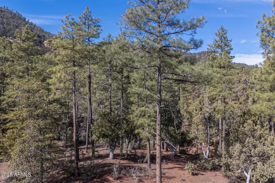 19 Strawberry Hollow Drive #19, Pine, AZ 85544