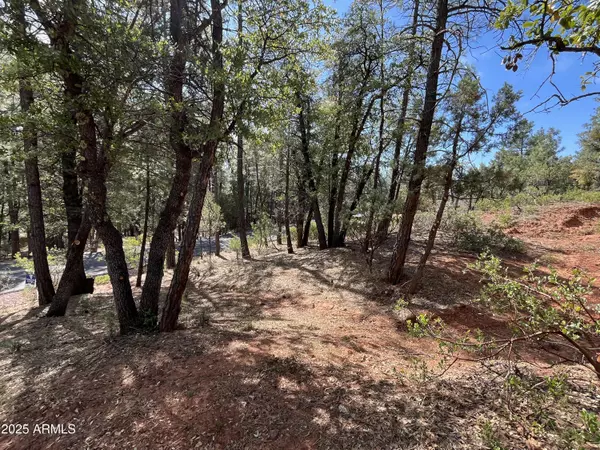 Pine, AZ 85544,19 Strawberry Hollow Drive #19