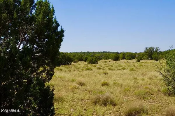 Seligman, AZ 86337,Denny Ranch Rd Lot D 10 Acres -- #-