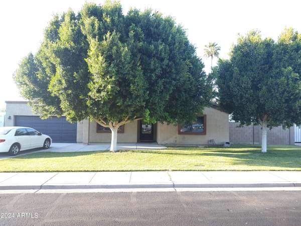 Mesa, AZ 85203,534 E IVY Street