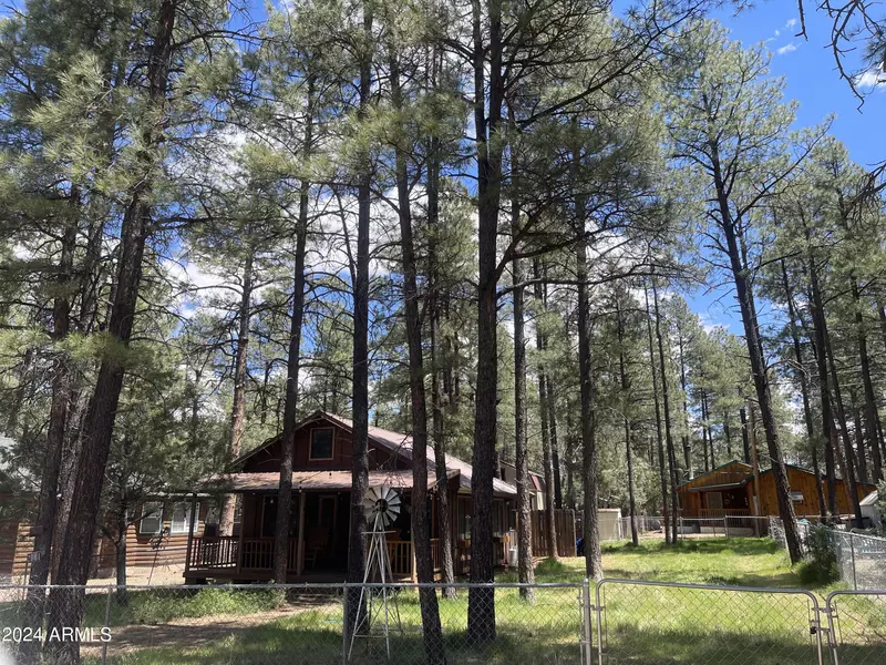 2961 LONE STAR Drive, Overgaard, AZ 85933