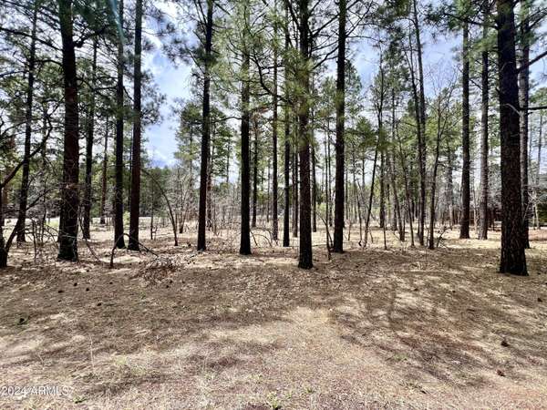 Pinetop, AZ 85935,4024 LATIGO Way #-