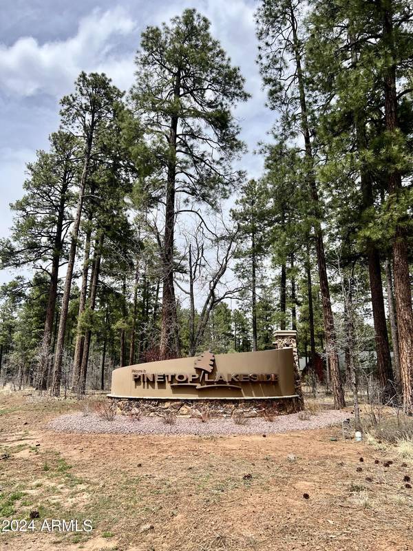 Pinetop, AZ 85935,4024 LATIGO Way #-