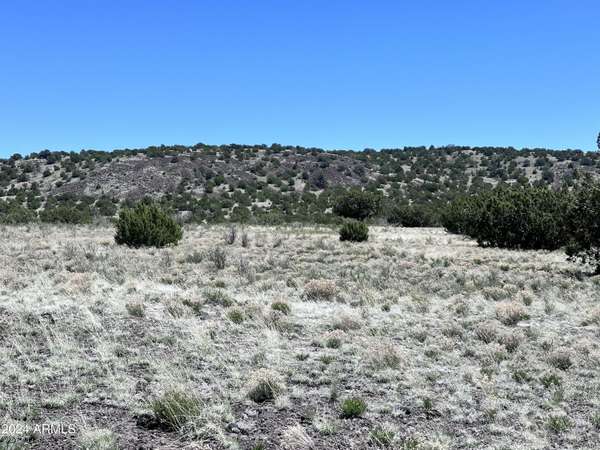 Williams, AZ 86046,11371 HOWARD MESA Loop #450