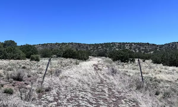 Williams, AZ 86046,11371 HOWARD MESA Loop #450