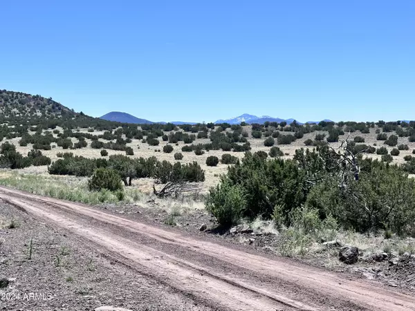 11371 HOWARD MESA Loop #450, Williams, AZ 86046