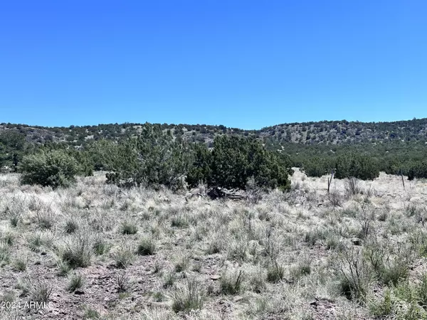 Williams, AZ 86046,11371 HOWARD MESA Loop #450