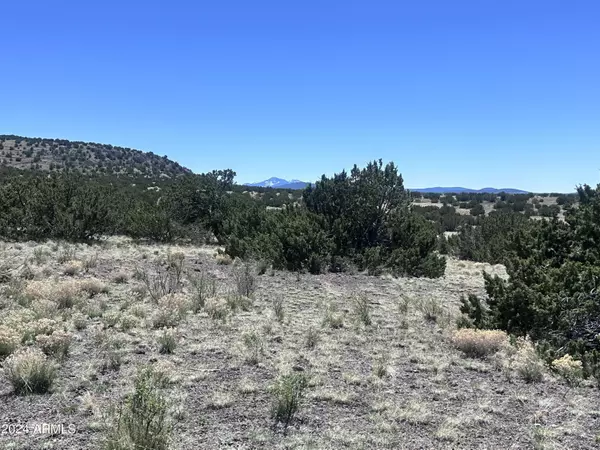 Williams, AZ 86046,11371 HOWARD MESA Loop #450