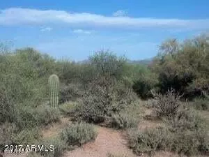 Scottsdale, AZ 85262,27300 N 138th Street #1