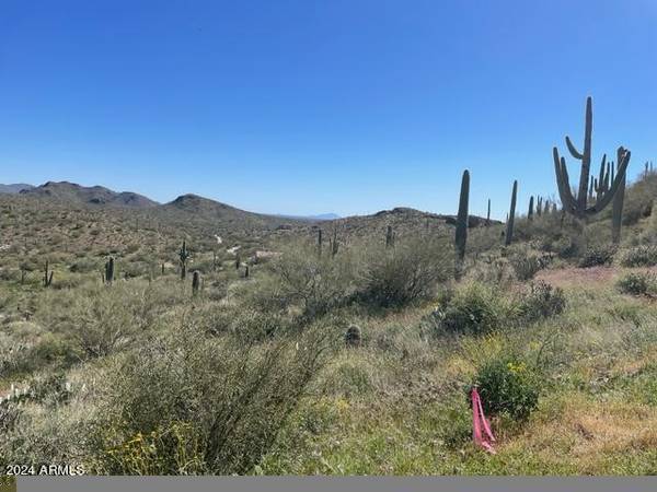 0 N Elephant Butte Road #Lot 4E, Queen Valley, AZ 85118