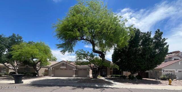 1503 S CHOLLA Street, Gilbert, AZ 85233