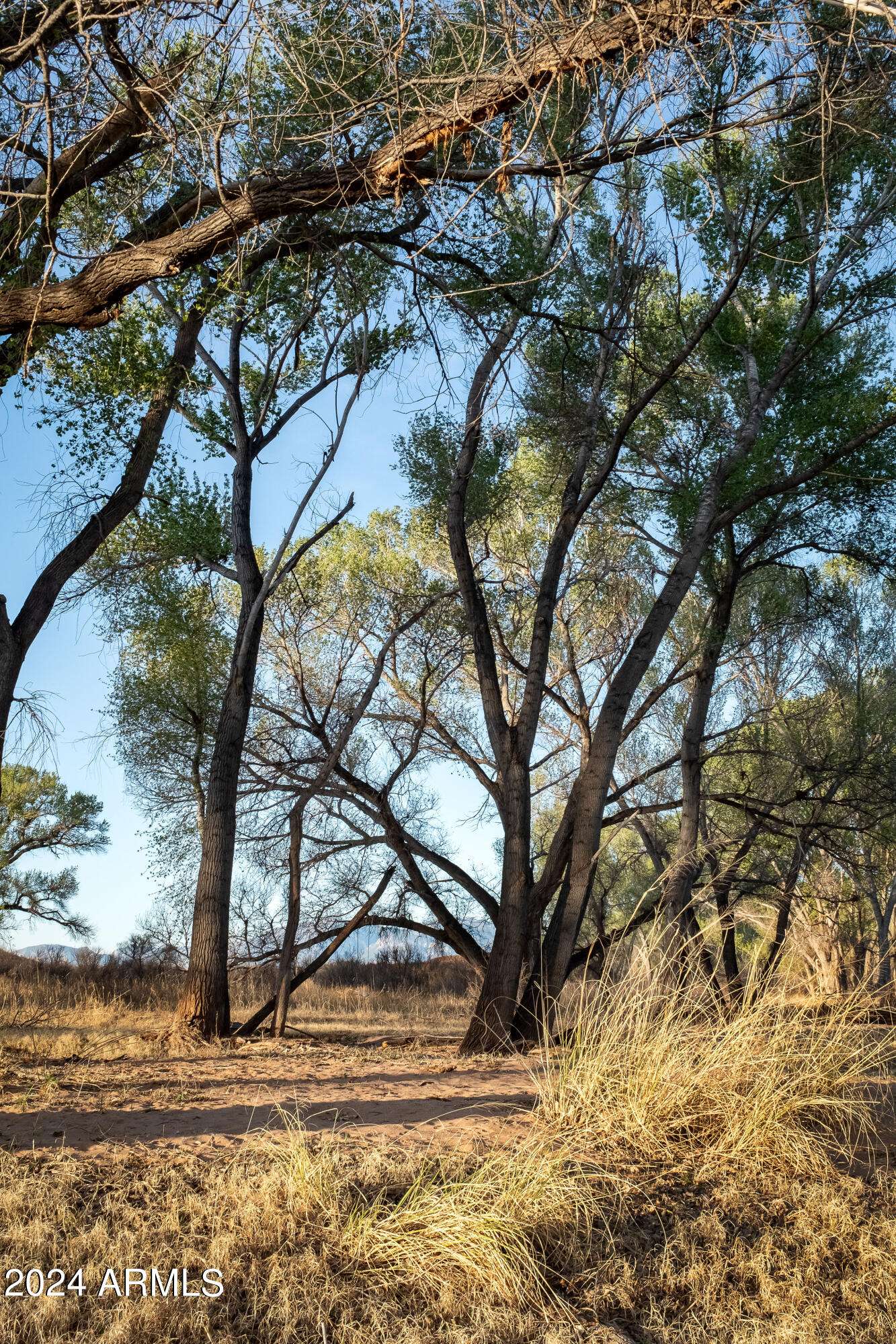 Grosvenor Road #109, Tubac, AZ 85646