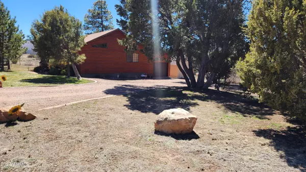 Overgaard, AZ 85933,3596 Pine Rim Drive