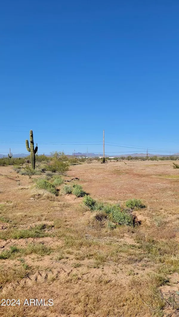 Morristown, AZ 85342,25259 W ADAMANDA Drive #-