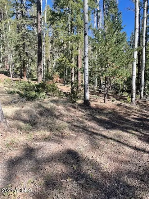 Greer, AZ 85927,2 COUNTY ROAD 1007 -- #3