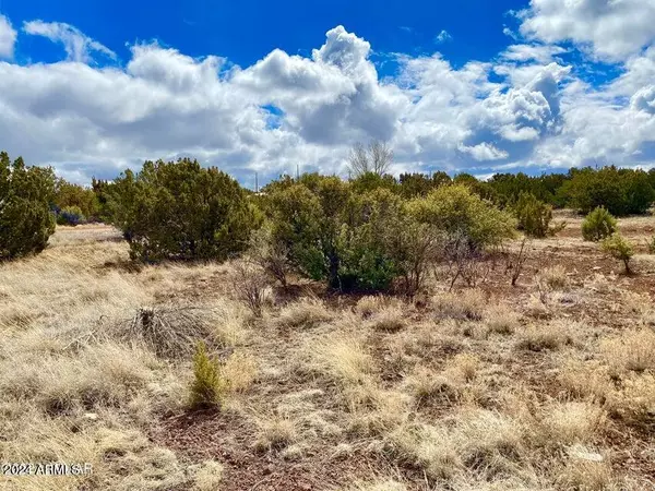 Show Low, AZ 85901,8411 Snowflake Circle #-