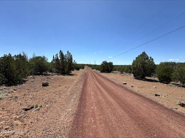 Show Low, AZ 85901,2247 Maslanko Lane #-