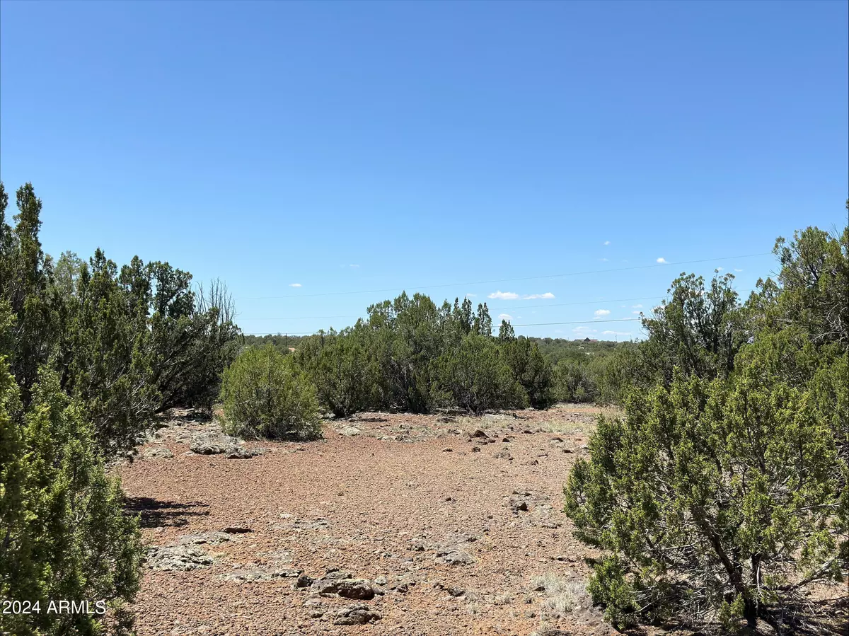 Show Low, AZ 85901,2247 Maslanko Lane #-