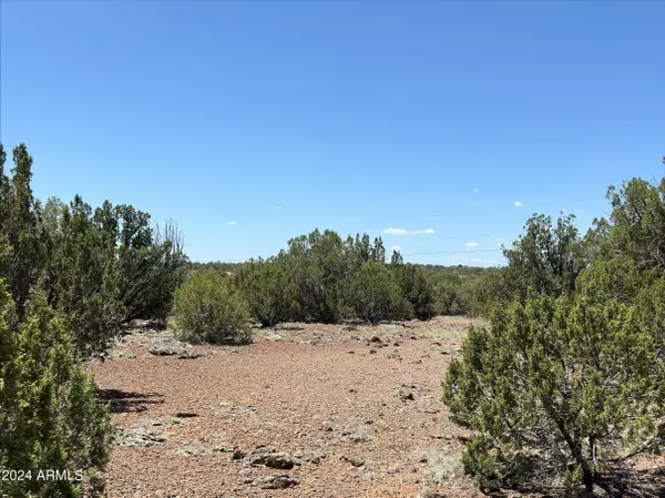 2247 Maslanko Lane #-, Show Low, AZ 85901