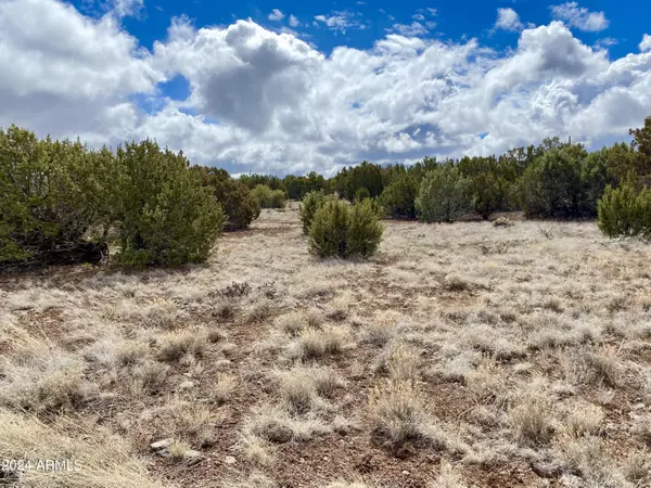 Show Low, AZ 85901,8418 SNOWFLAKE Circle #54