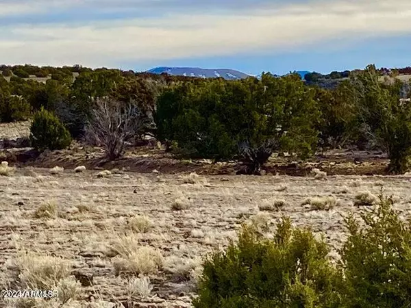 Concho, AZ 85924,CR 5201 Lot 1 -- #-