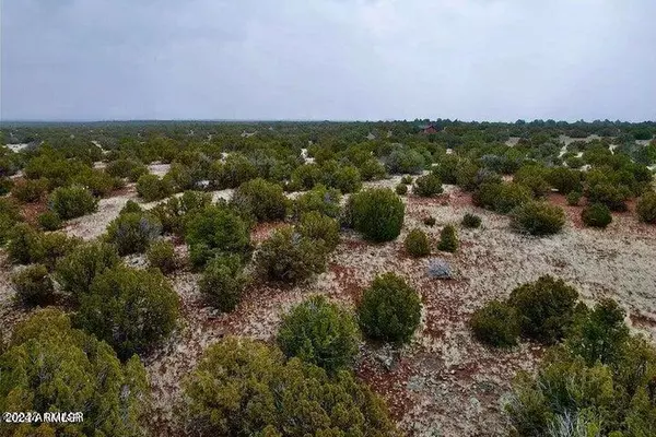 Concho, AZ 85924,79 COUNTY ROAD 8072 -- #-