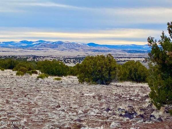 Concho, AZ 85924,Six Ranches Unit 2 Lot 9 -- #9