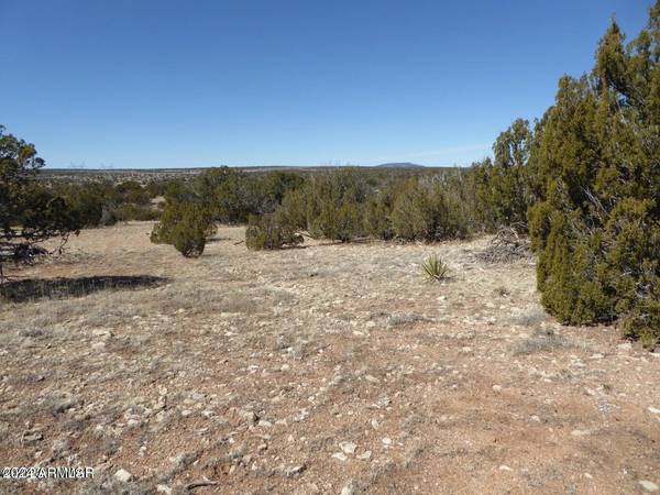 12 T14N R16E: SW4 SE4 -- #-, Heber, AZ 85928