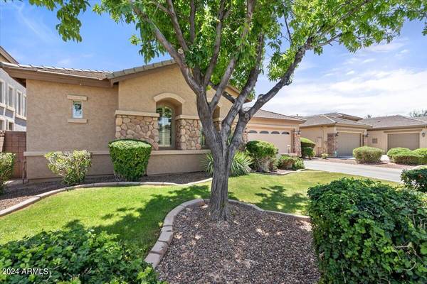 Maricopa, AZ 85139,22431 N CELTIC Avenue