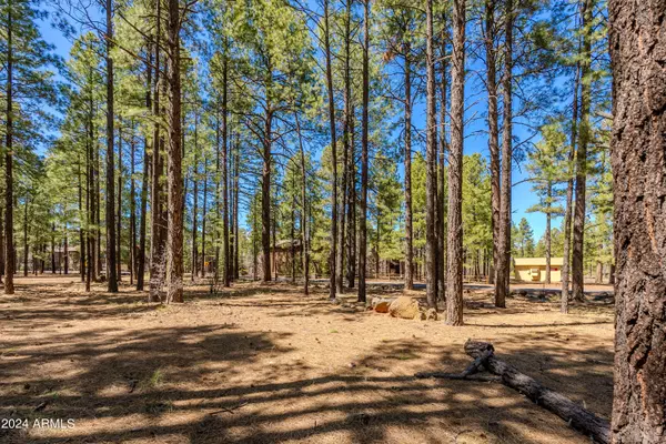 Pinetop, AZ 85935,4583 SKY HI Road #-