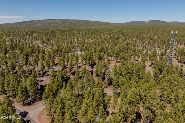 Pinetop, AZ 85935,4571 SKY HI Road #-