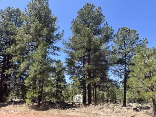 138 S KAIBAB Lot 33 Avenue N #33, Parks, AZ 86018