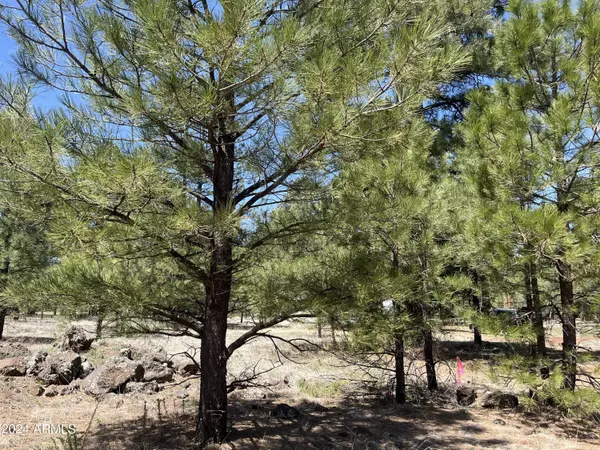 Parks, AZ 86018,138 S KAIBAB Lot 34 Avenue S #34