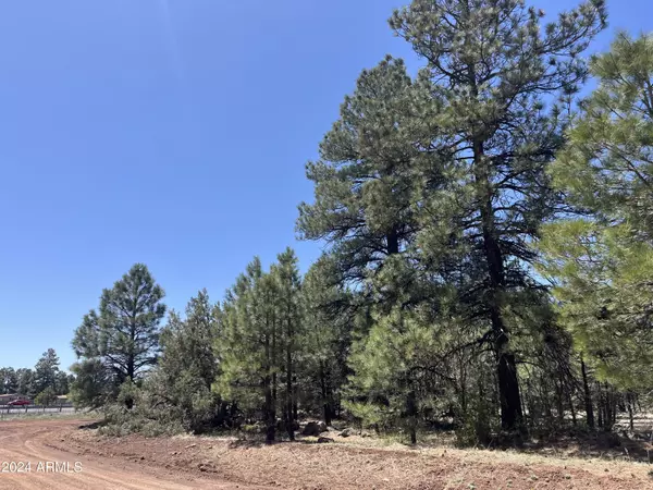 138 S KAIBAB Lot 34 Avenue S #34, Parks, AZ 86018