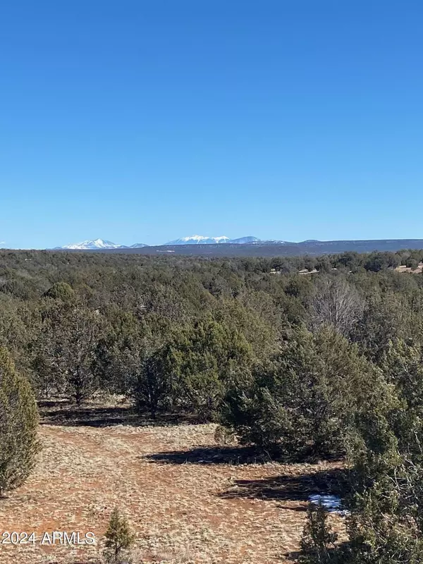 0 Westwood Ranch Road #676,  Williams,  AZ 86046