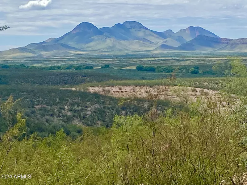 Lonely Dove Pl 8.23 Acres -- #-, Huachuca City, AZ 85616