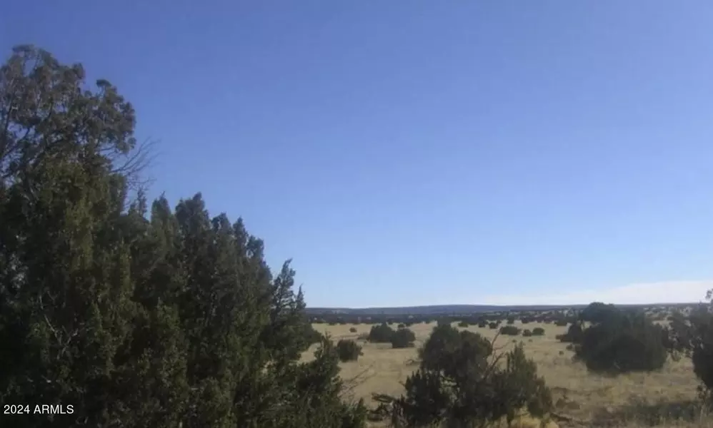 Chevelon Retreat -- #-, Heber, AZ 85928