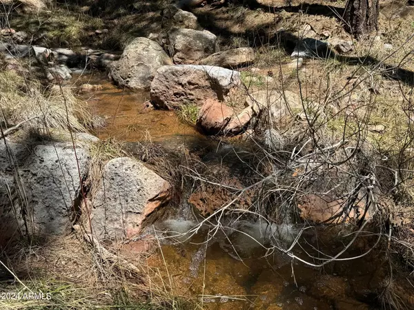 Payson, AZ 85541,663 S MORRIS MDWS --