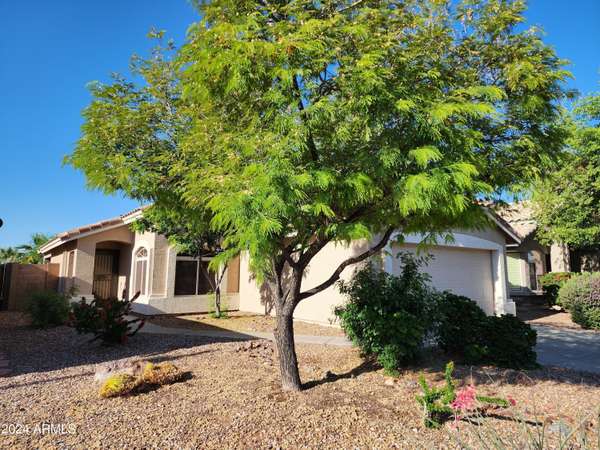 Buckeye, AZ 85326,23087 W ANTELOPE Trail