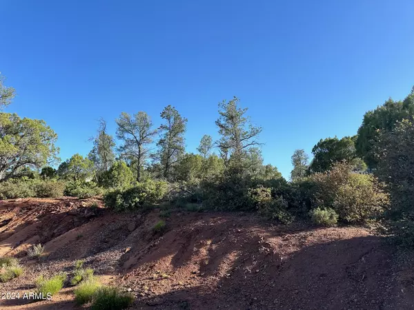 Payson, AZ 85541,907 W Skyline Circle #10