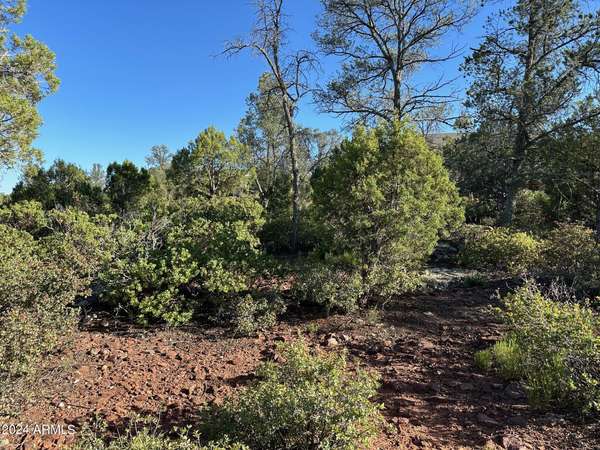 Payson, AZ 85541,907 W Skyline Circle #10