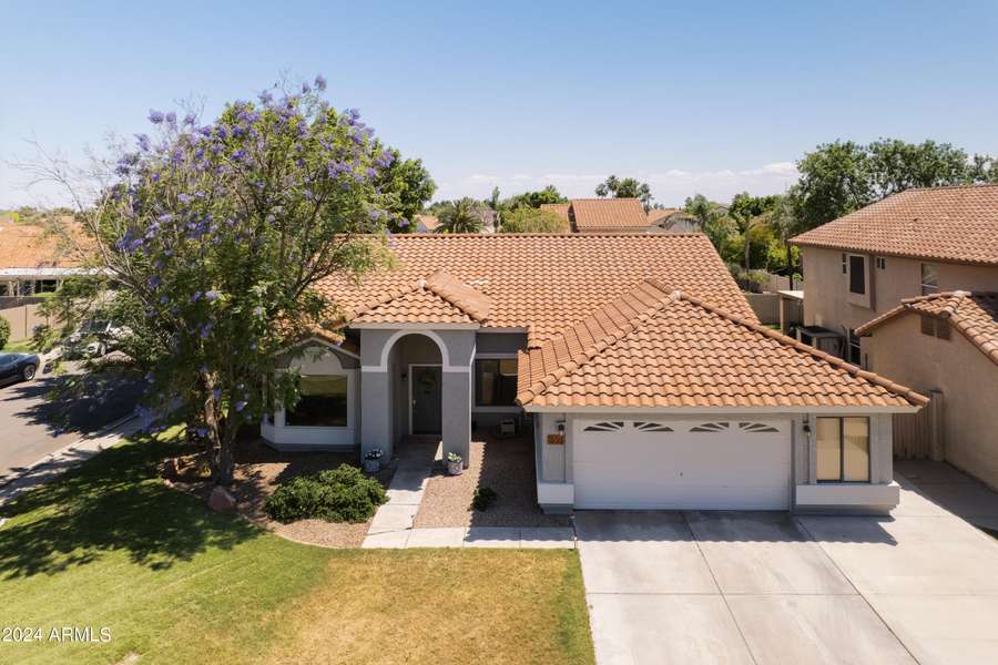 1233 E SEA GULL Drive, Gilbert, AZ 85234