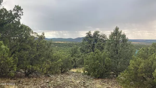 Vernon, AZ 85940,162 County Rd 3109 -- #-