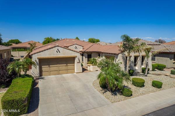 Chandler, AZ 85248,402 W ASTER Drive